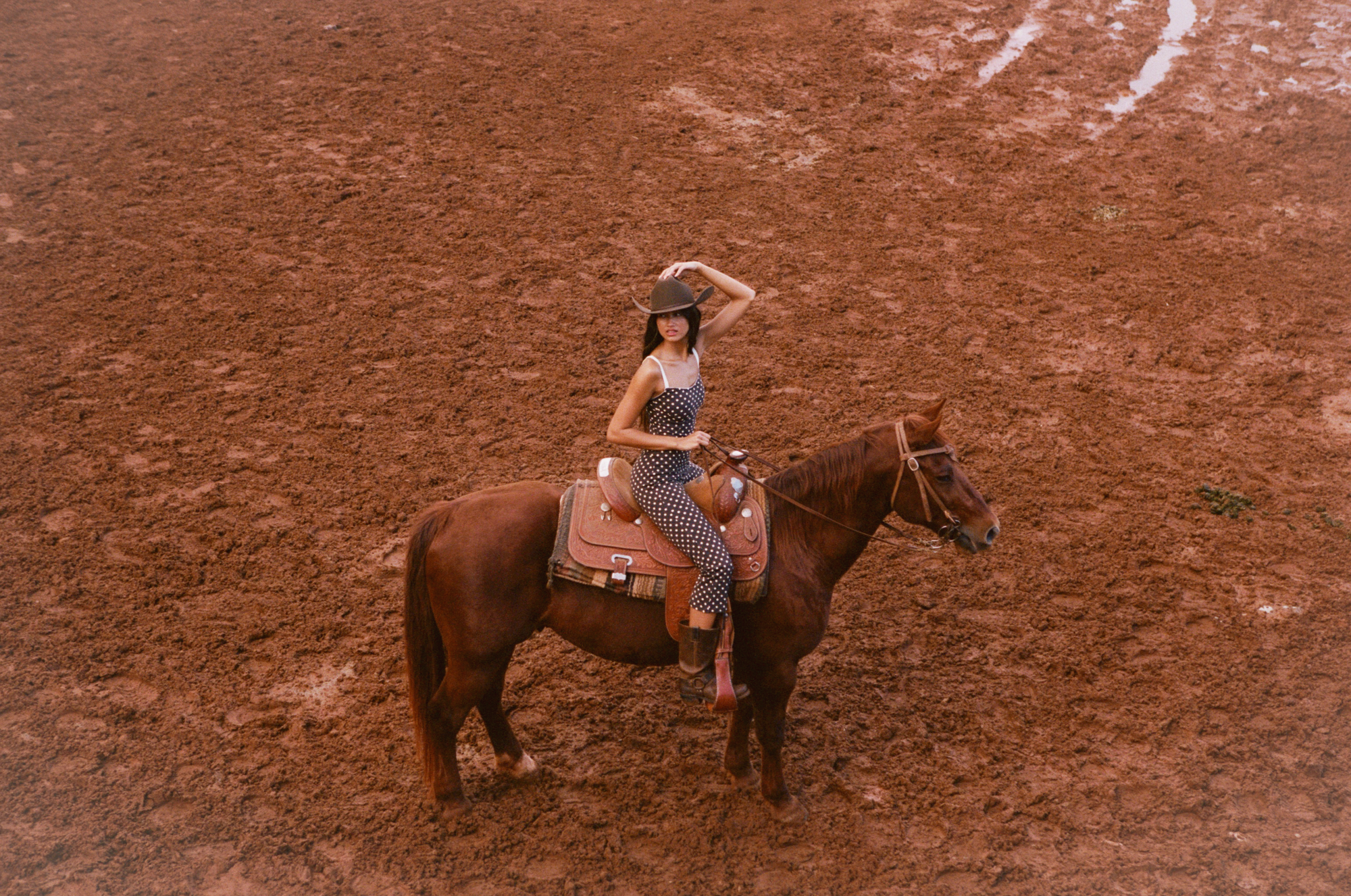 TAILORED CROP PANT IN ESPRESSO DOT