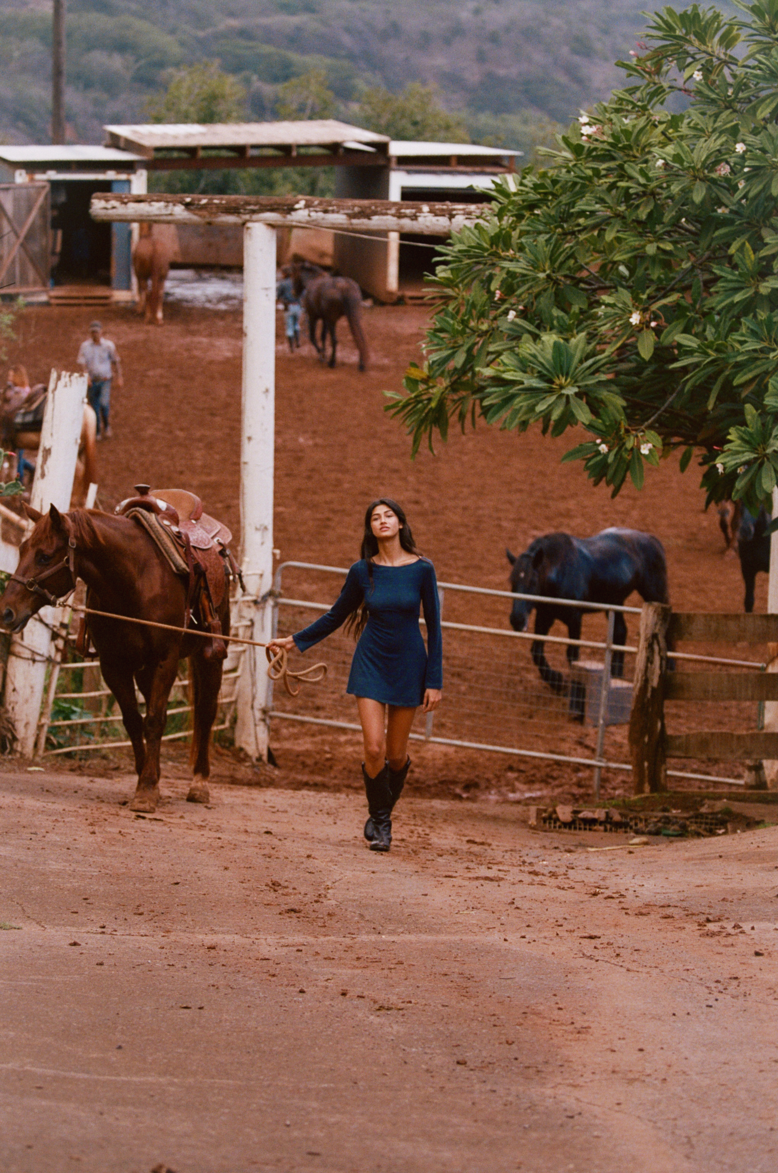 BOATNECK DRESS IN OXFORD