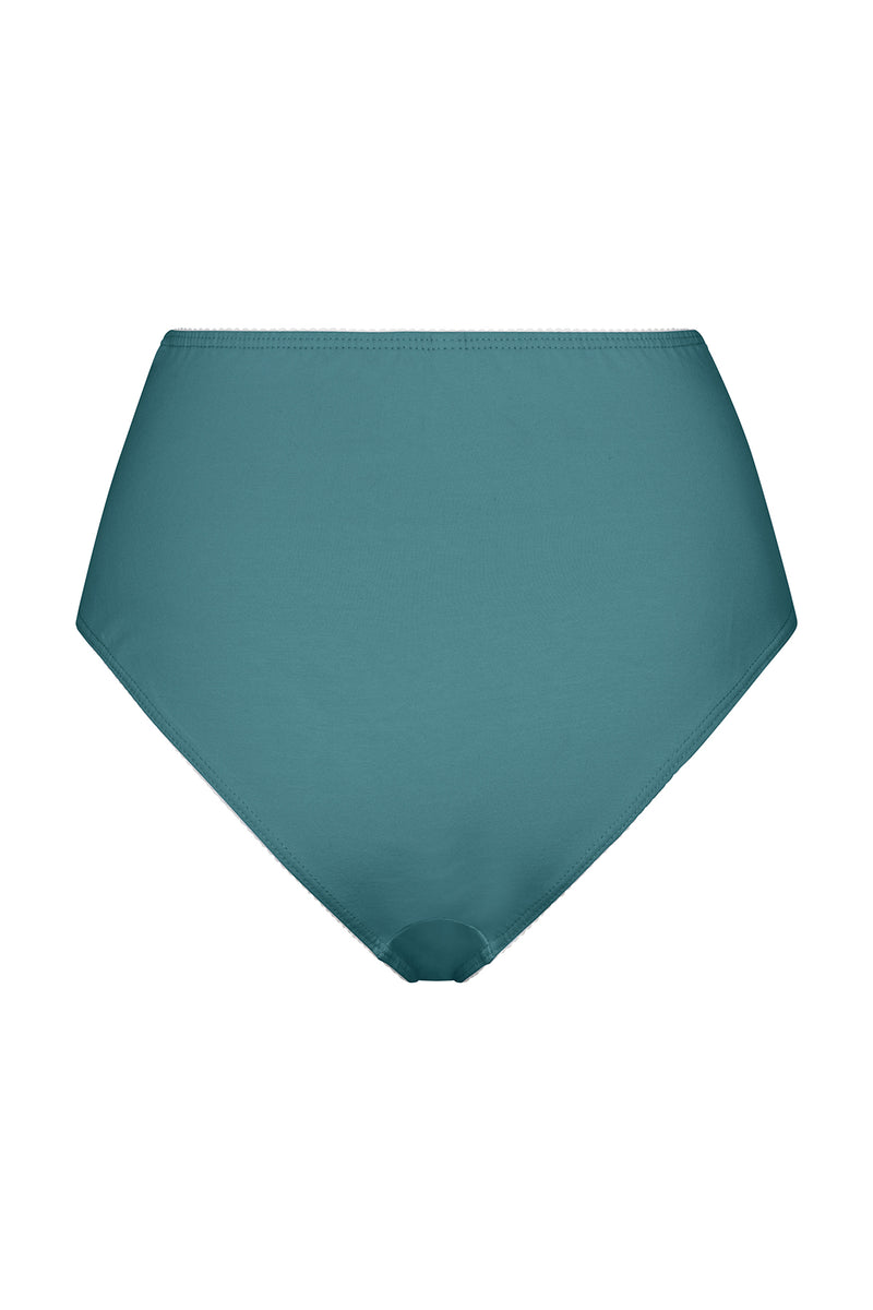 HIGH RISE UNDIES IN SEA