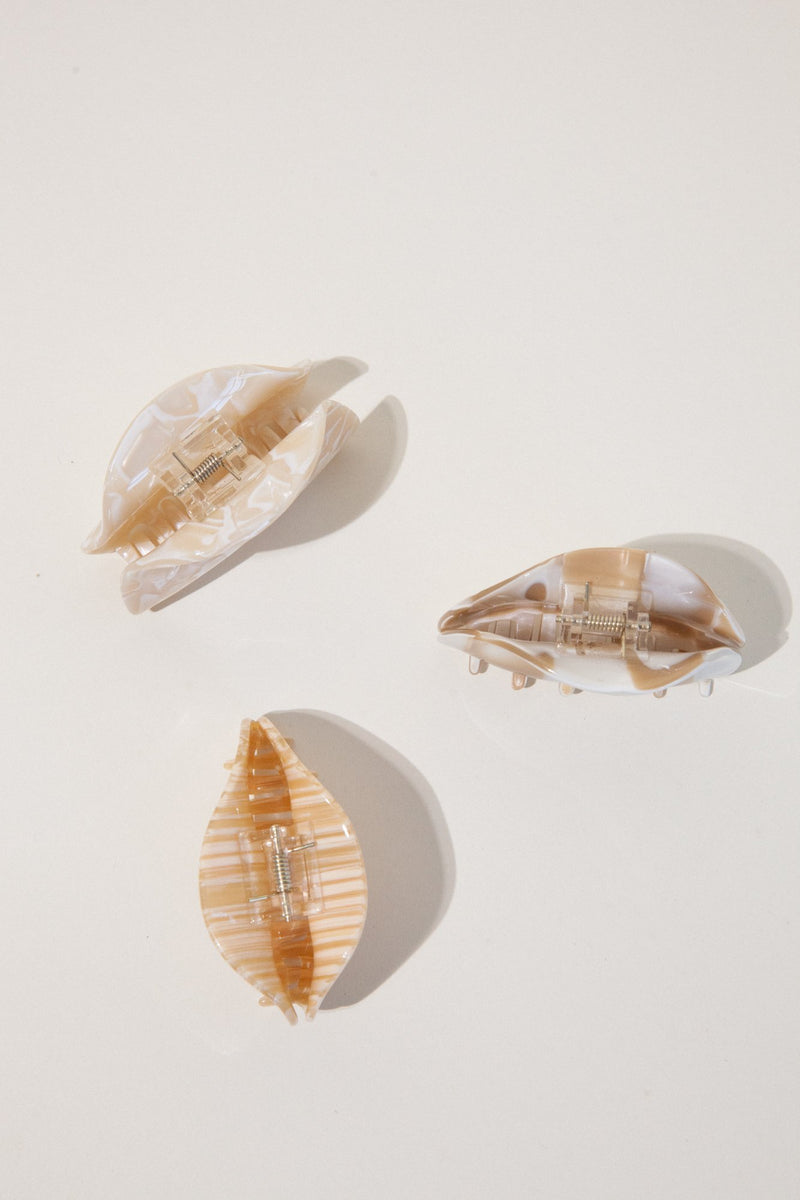 Stripes Abalone Claw